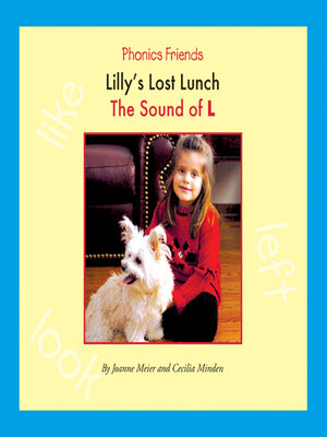 cover image of Lilly's Lost Lunch